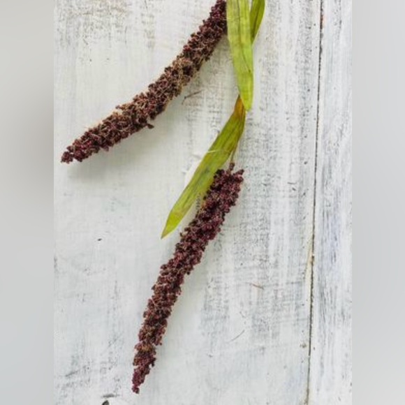 *Burgundy Millet Stem, Bundle of 3 - Picture 5 of 10